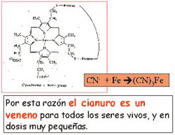 Diapos de la charla