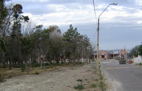 Bosquecito del barrio Patagonia