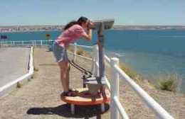 Avistaje telescopico en Punta Cuevas